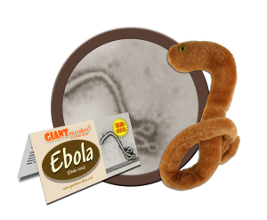 gmus-pd-0240-ebola-cluster