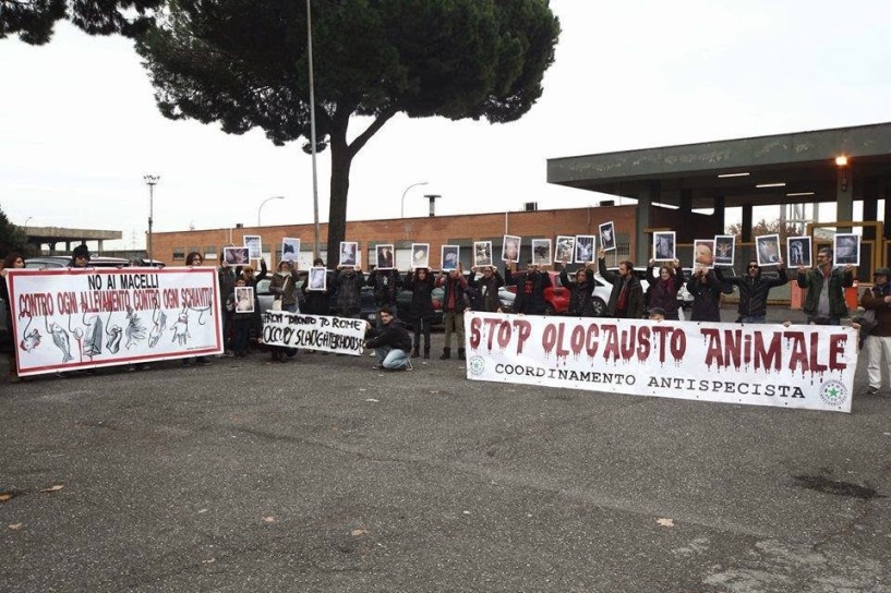 SMAC: una settimana mondiale per l’abolizione della carne